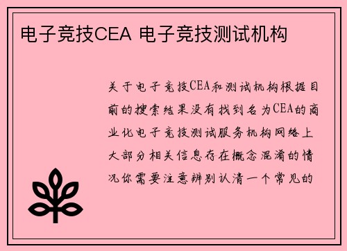电子竞技CEA 电子竞技测试机构